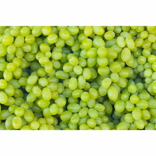 Fresh Green Grapes