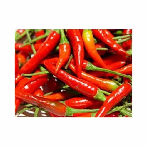 Fresh Red Chilli