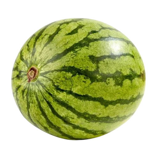 Fresh Watermelon