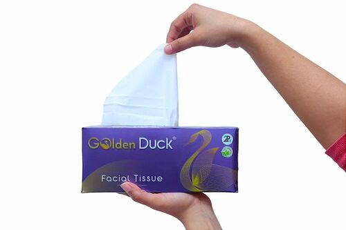 200 Pulls 2 Ply Soft Facial Tissue Box