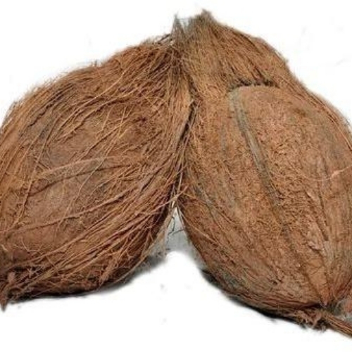 Festival Use Semi Husk Coconut