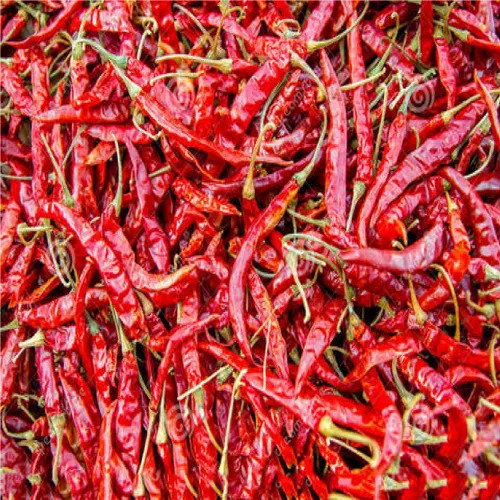 Red Chilli