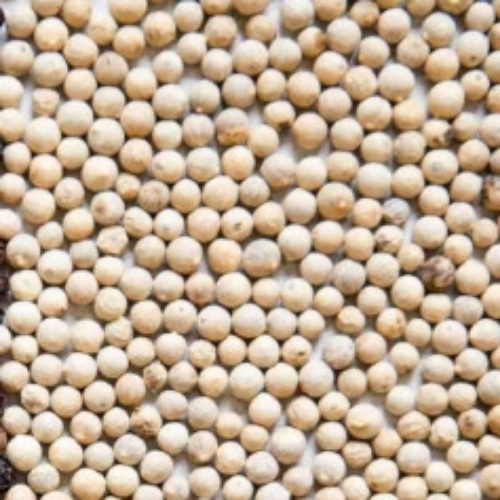 White Pepper