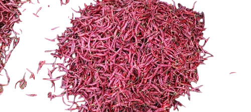Dry Red Chilli C5