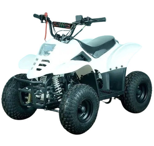 Four Wheelers White Atv Motorcycle