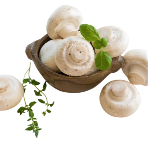 Fresh Button Mushroom