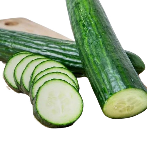 Fresh Green Cucumber - 50 kg, Chopped, Elongated | Cultivated Common, Cooked Style, Shelf Life 7-10 Days