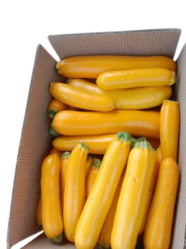 Fresh Yellow Zucchini - 50 kg, Chopped, Elongated Shape | Common Cultivation, Cooked Style, Shelf Life 7-10 Days