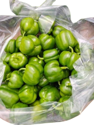 Green Capsicum