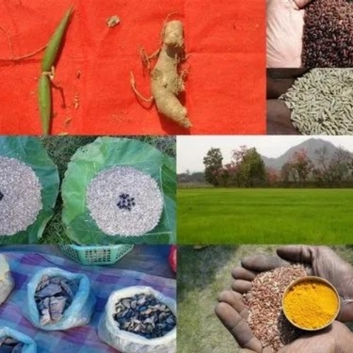 Herbal & Ayurvedic Third Party Manufacturing