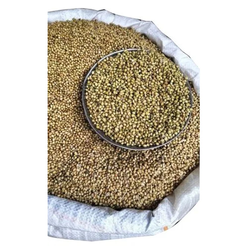 Natural Coriander Seed - Brown, Conventional | Uniform Seed Size, Clean Sorted Quality, Good Shelf Stability