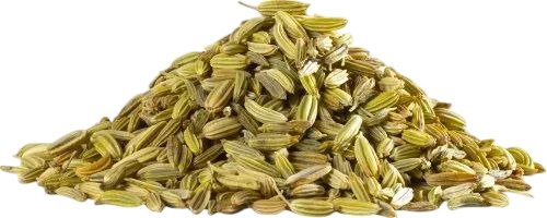Organic Fennel Seed