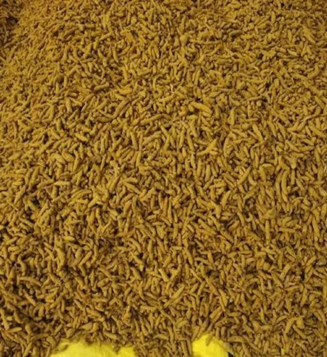 Raw Turmeric Seed - Yellow Spices Seeds, Conventional Cultivation, Grade A, >98% Purity, 12 Months Shelf Life, High Curcumin Content