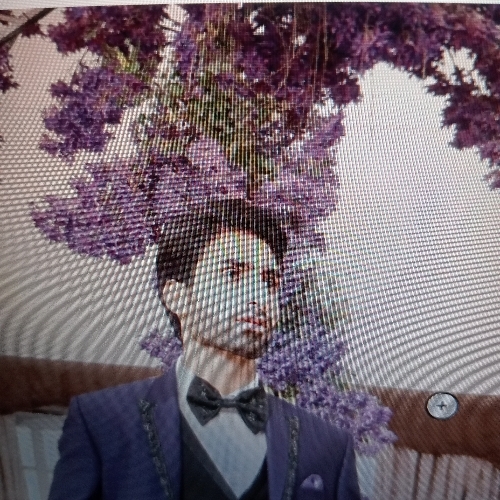 Suit