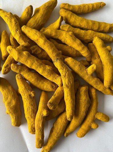 Yellow Turmeric Finger - Color: Na