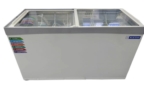 Blue Star Deep Freezer