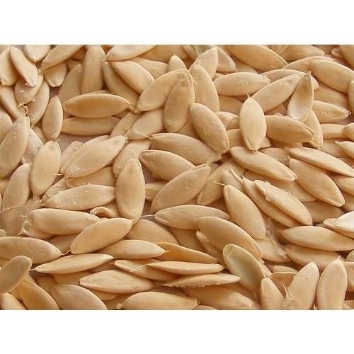 Kheera Beej Cucumber Seeds