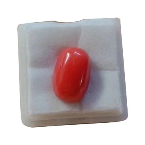 Pure Natural Red Coral - Coral, Standard Size, Red | A Grade, Natural Stone
