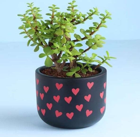 Terracotta Products