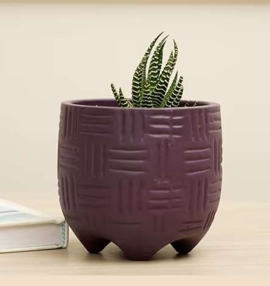 Terracotta Products