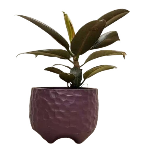 Coffee Color Painted Terracotta Pot - Design Type: Round