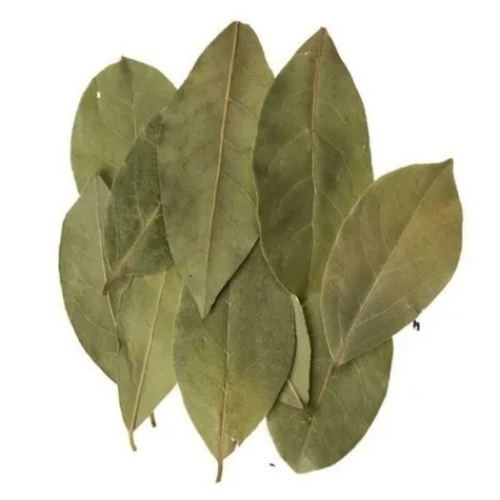 Green Bay Leaf