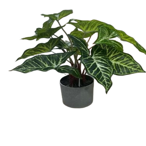 Artificial Bonsai Plant