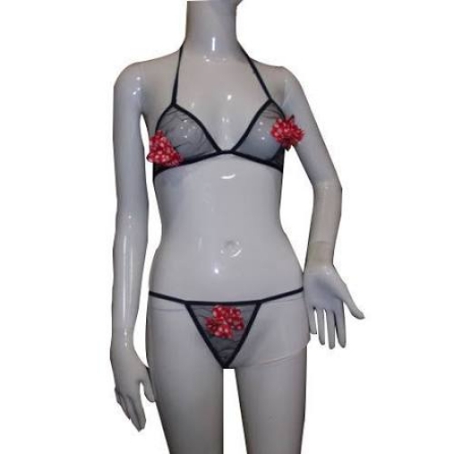 Bra Panty Set