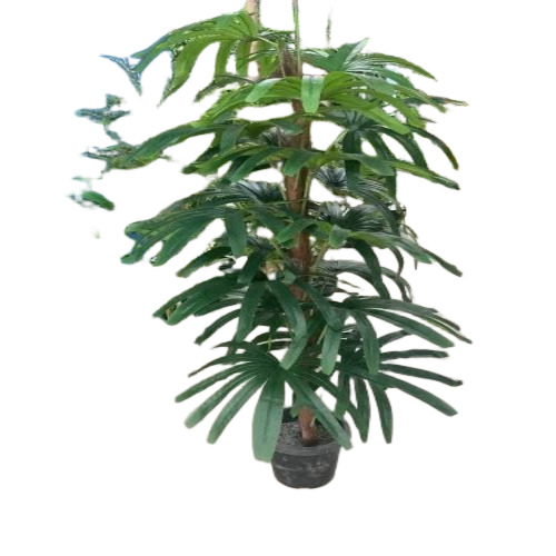 Fan Palm Artificial Plants