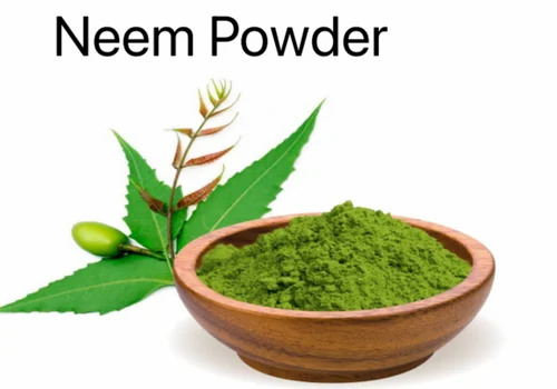 Neem Dry Powder