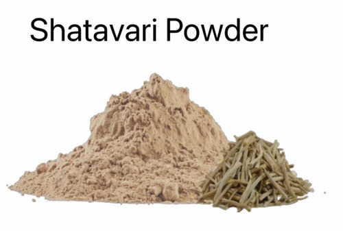 Shatavari Dry Powder