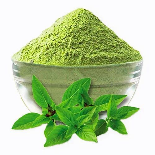 Tulsi Leaf Dry Powder