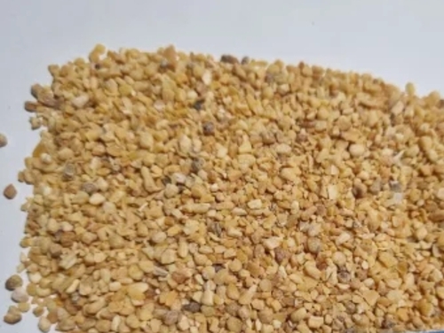 Dehydrated Garlic Minced