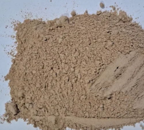 White Garlic Powder By Shree Ram Naturals