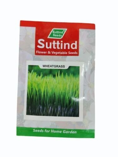 Wheatgrass Seeds - Natural 100 gm Packet, Organic, Common Cultivation, Hybrid 1, 8 Months Shelf Life