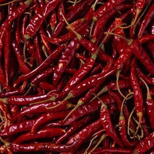 Guntur Dry Red Chilli