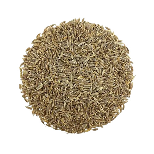 Singapore Cumin Seeds