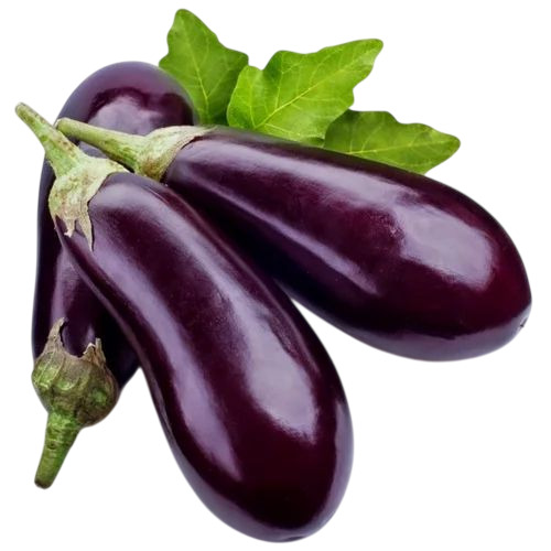 Fresh Brinjal - 50 kg, Chopped Oval Brinjal | Cooked Style, Shelf Life 7-10 Days