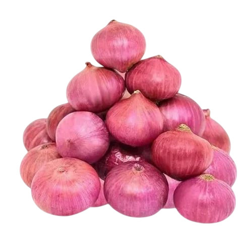 Fresh Onion