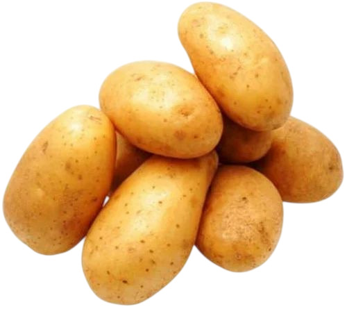 Fresh Potato