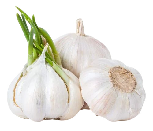 Natural Fresh Garlic