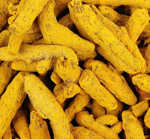 Erode Turmeric Finger