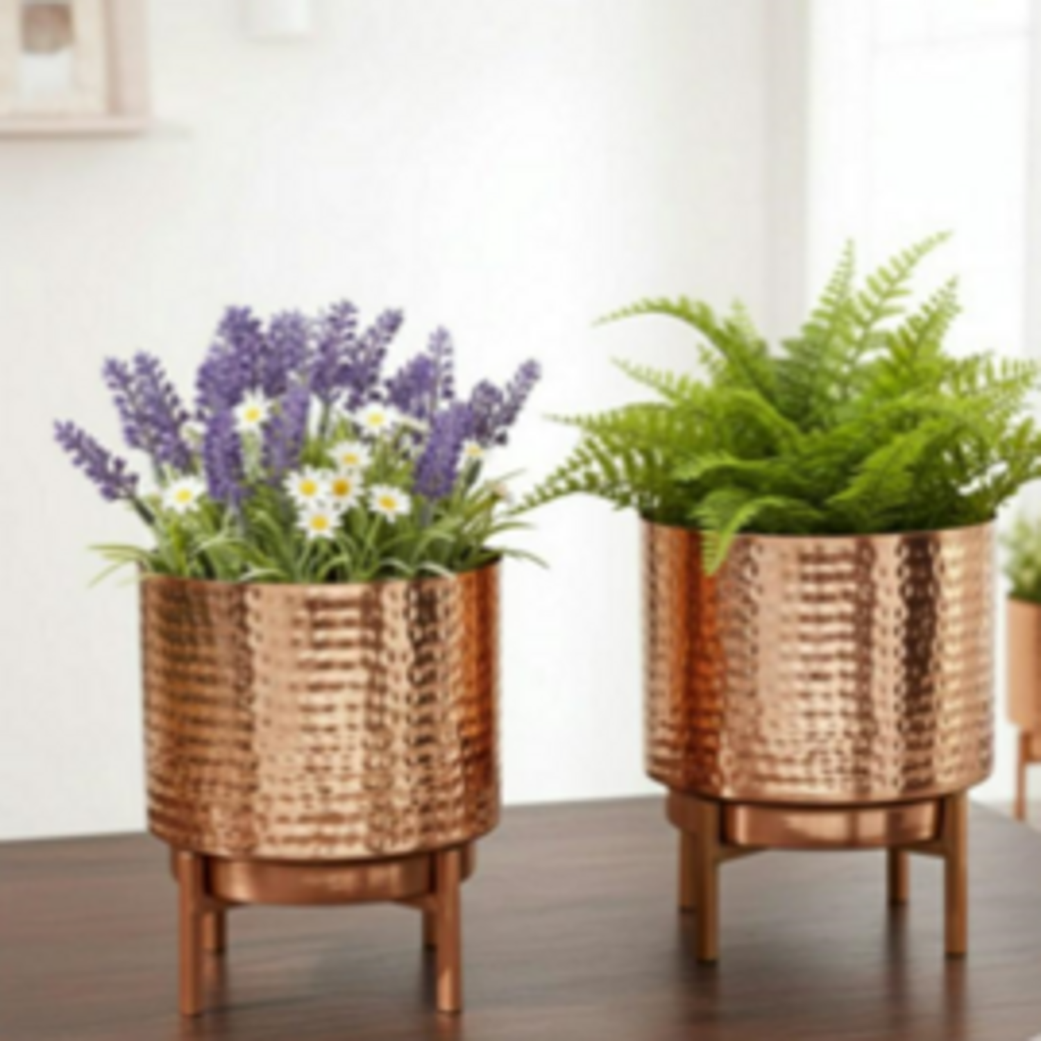 Garden Accessories