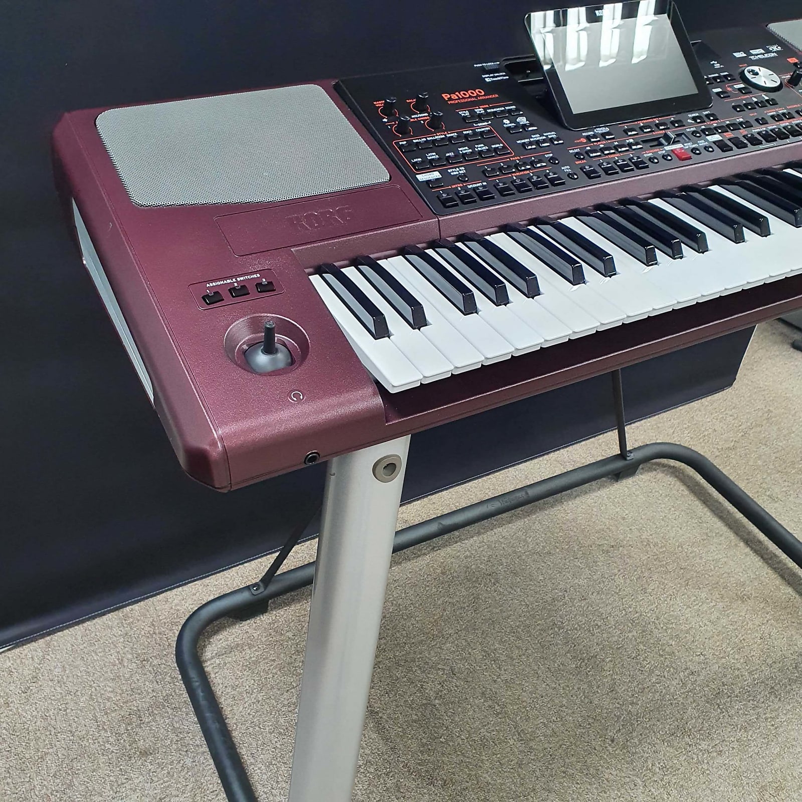 New Korg Pa1000 61-Key Pr - Application: Wedding Ceremony