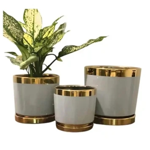 White & Gold Rim Ceramic Planter Set - Ceramic, Glossy White & Gold | Elegant Design, Smooth Finish, Durable, Stylish Indoor Planting