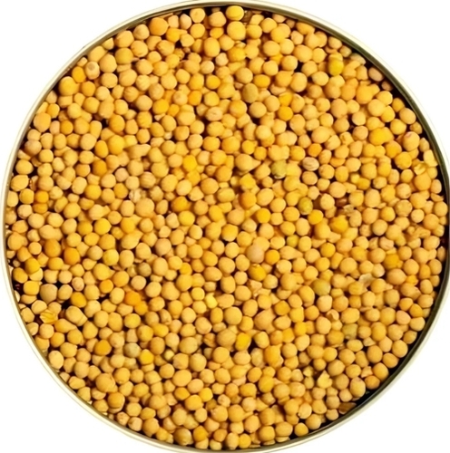 Yellow Mustard Seeds