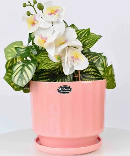 Blush Pink Ceramic Planter