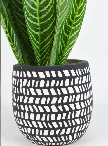 Trending Ceramic Planter - Ceramic, Matte Black & White, Gold Rim | Elegant Design, Smooth Finish, Durable, Stylish Indoor Planting