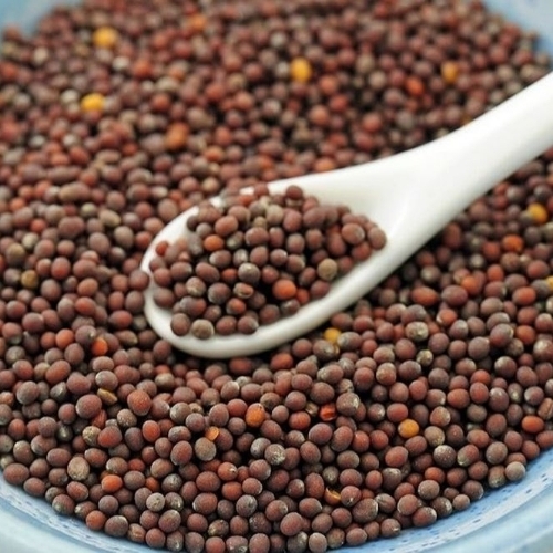 Mustard Seeds - Organic Brown, Grade A | Spicy Flavor, Aromatic Aroma, High Oil, Nutrient Rich