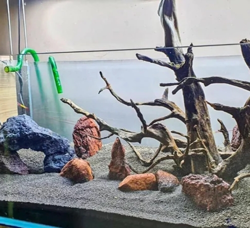 Aquarium Aqua-Scaping Service